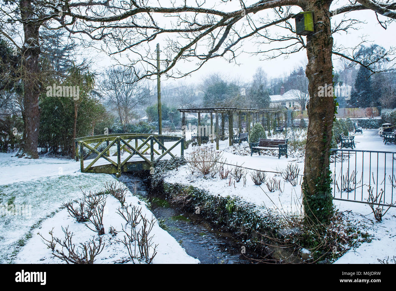 Starker Schneefall in Trenance Gärten in Newquay Cornwall. Stockfoto