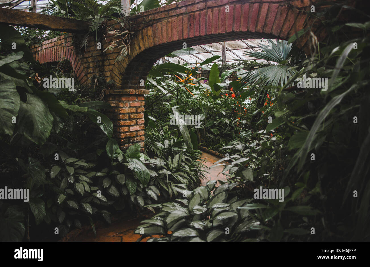 Wicklung Ziegelstein Weg führt durch eine überwachsene Gewächshaus mit Pflanzen und Blumen umgeben, und ein roter Backstein Torbogen Stockfoto