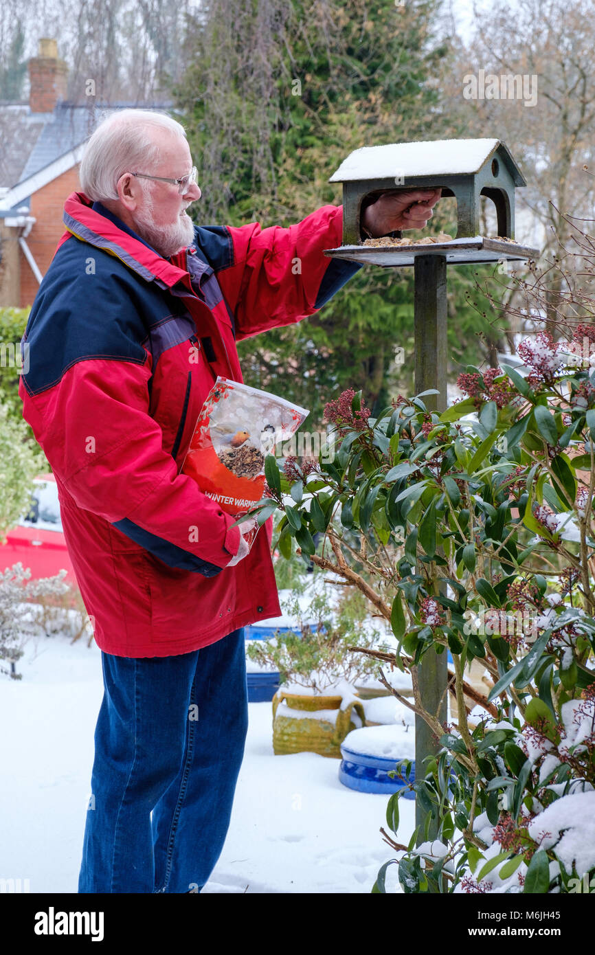 Pensionierter Mann im roten Mantel, Samen auf Vogel Tabelle in Garten, UK, nach Schneefall Stockfoto