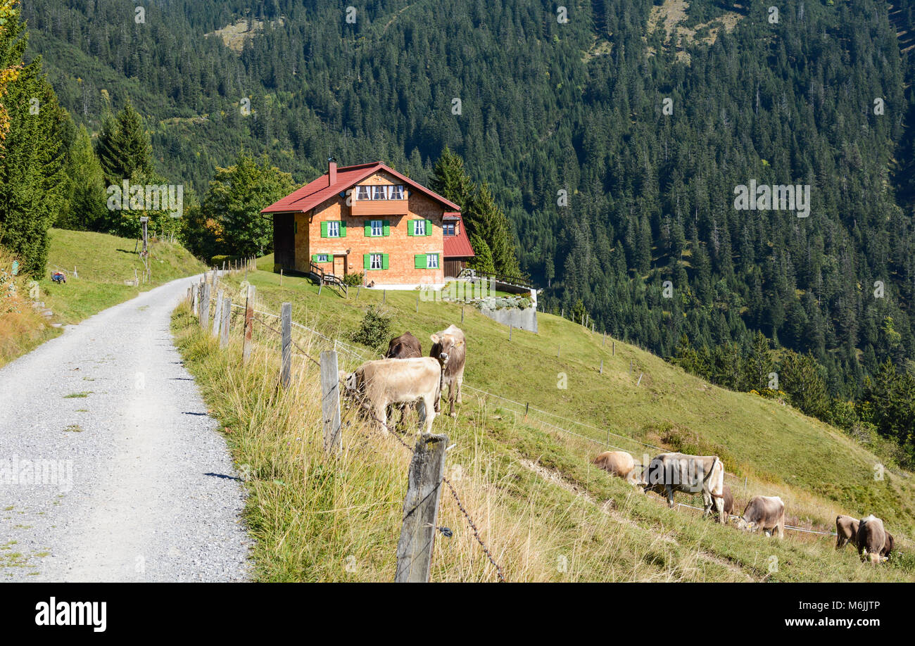 Die Europäischen Alpen, Vorarlberg, Österreich Stockfoto