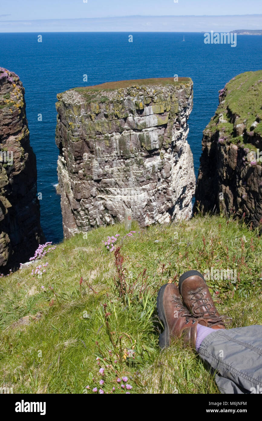 Sightseer entspannend an der Küste von Handa Island, Sutherland, Scottish Highlands, Juni Stockfoto