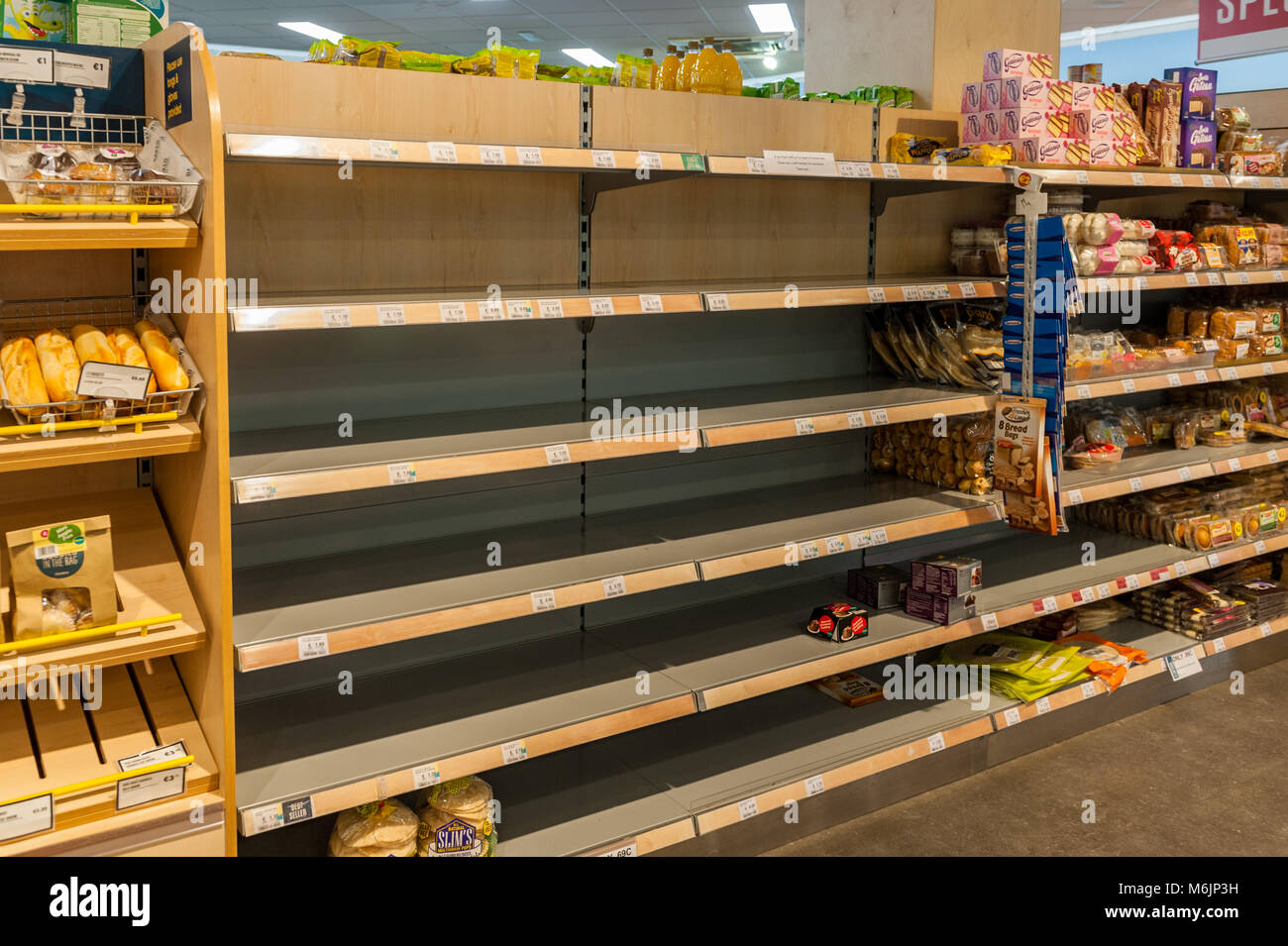 Leere Brot in den Regalen Centra Supermarkt, Schull, County Cork, Irland, während der Sturm Emma. Stockfoto