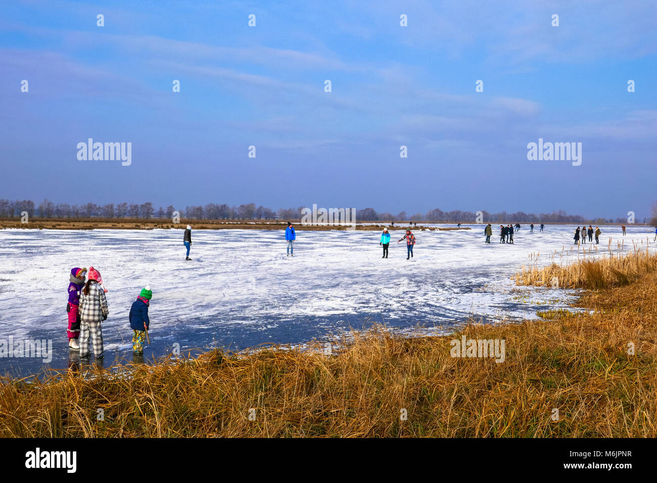 Skate Spaß an Willeskop See in Zuid Holland, Holland Stockfoto