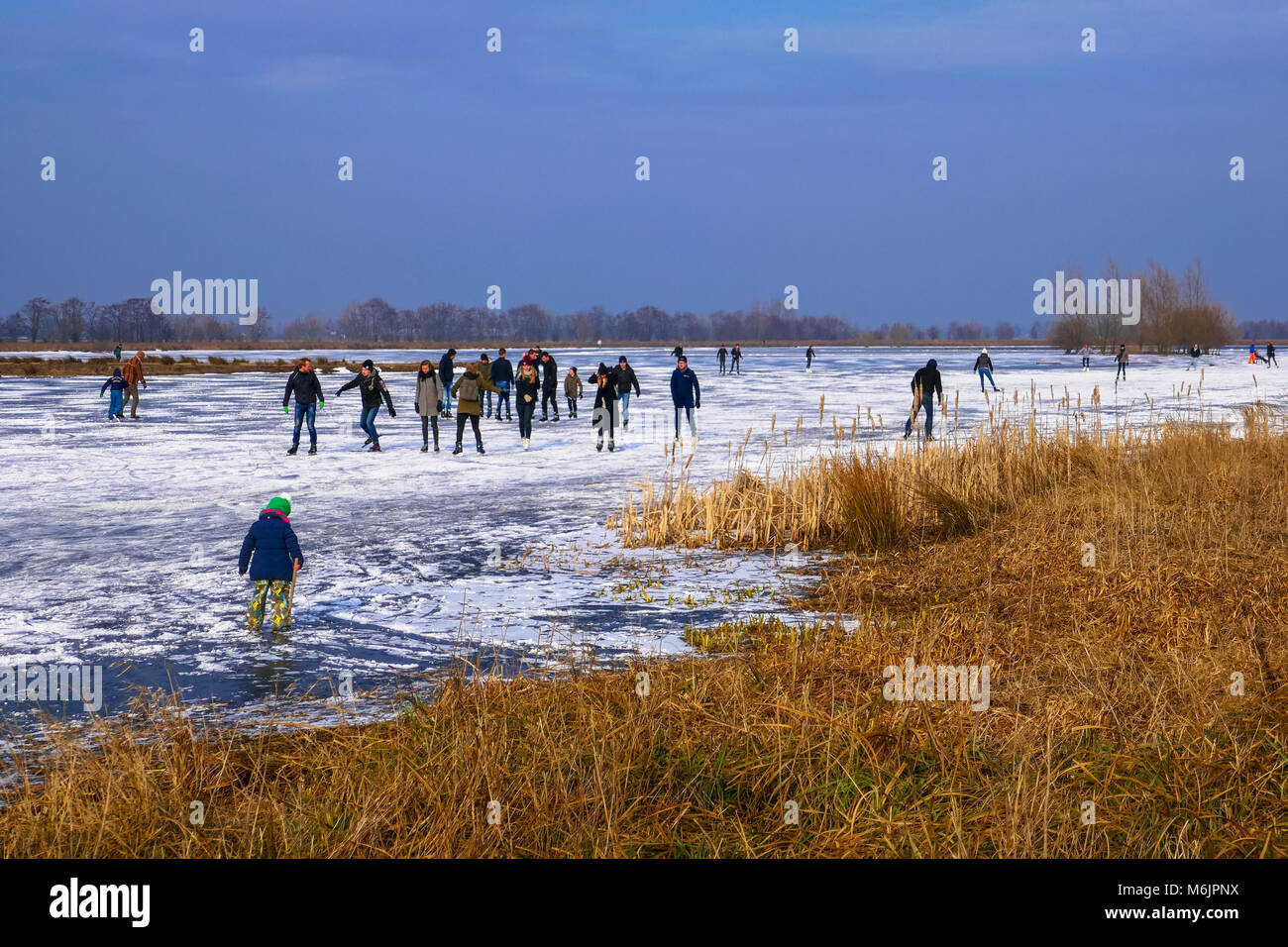 Skate Spaß an Willeskop See in Zuid Holland, Holland Stockfoto