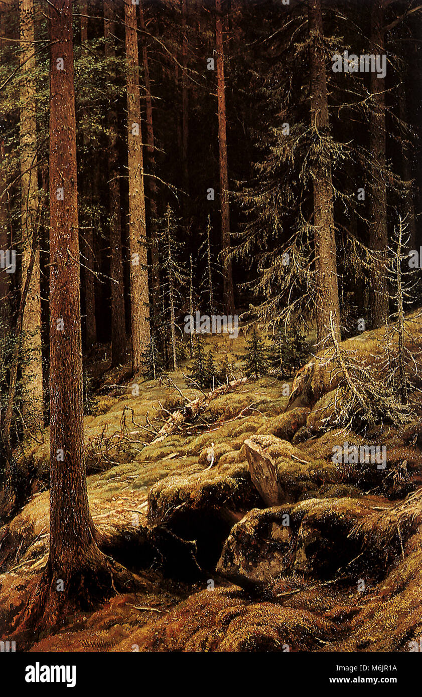 Dichten Wald, Shishkin, Ivan, 1881. Stockfoto