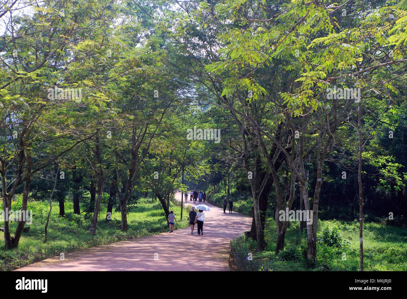 Ein Fußweg führt zu My Son Heiligtum, qang Nam Provinz, Vietnam Stockfoto