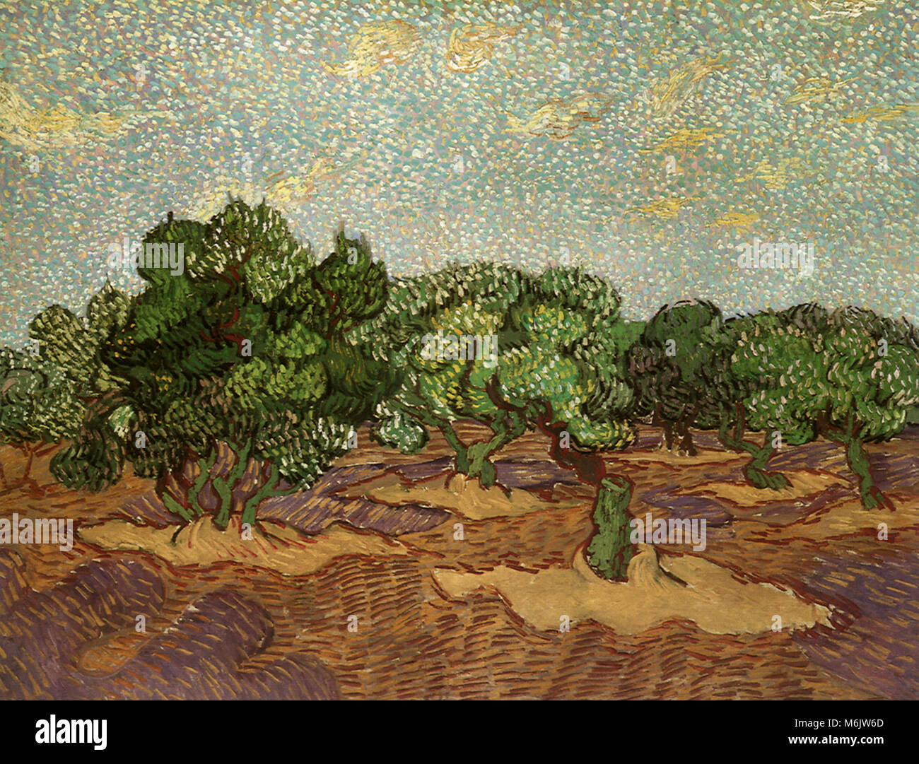 Olivenhain: Pale Blue Sky, Van Gogh, Vincent Willem, 1889. Stockfoto