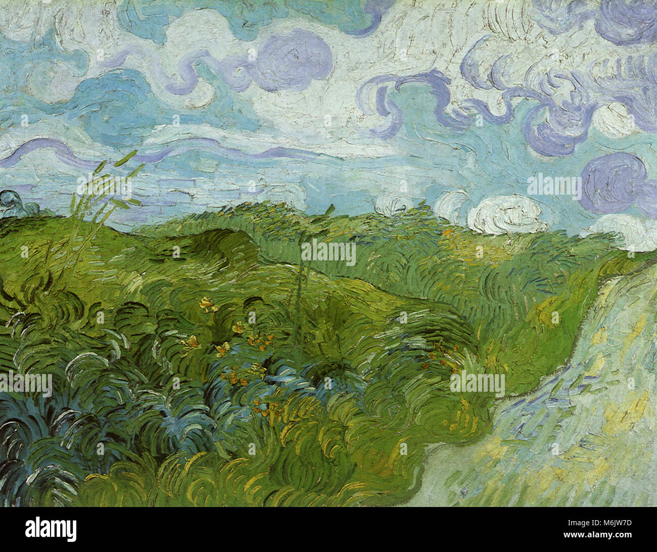 Grüne Weizenfelder, Van Gogh, Vincent Willem, 1890. Stockfoto