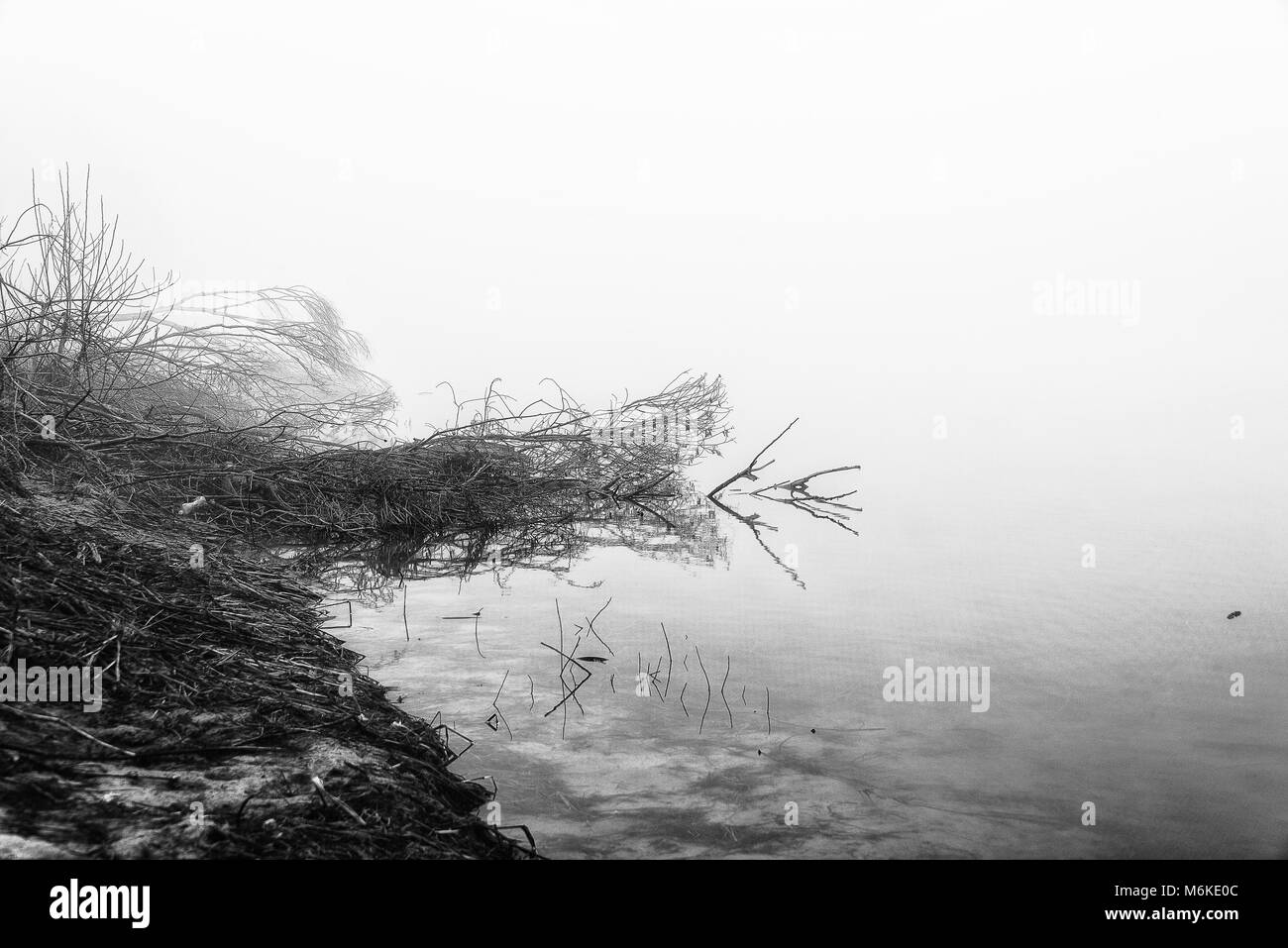 Winter Tessin riverbanks Landschaften Stockfoto