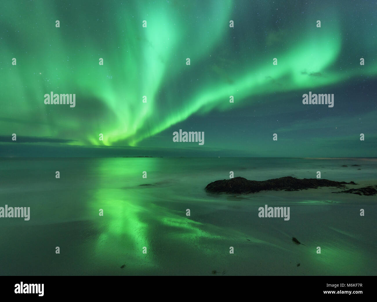 Aurora auf dem Meer. Nordlicht in Lofoten Inseln, Norwegen. Sternenhimmel mit Polarlichter. Nacht Landschaft mit Aurora, Meer mit fliessend Wasser und s Stockfoto