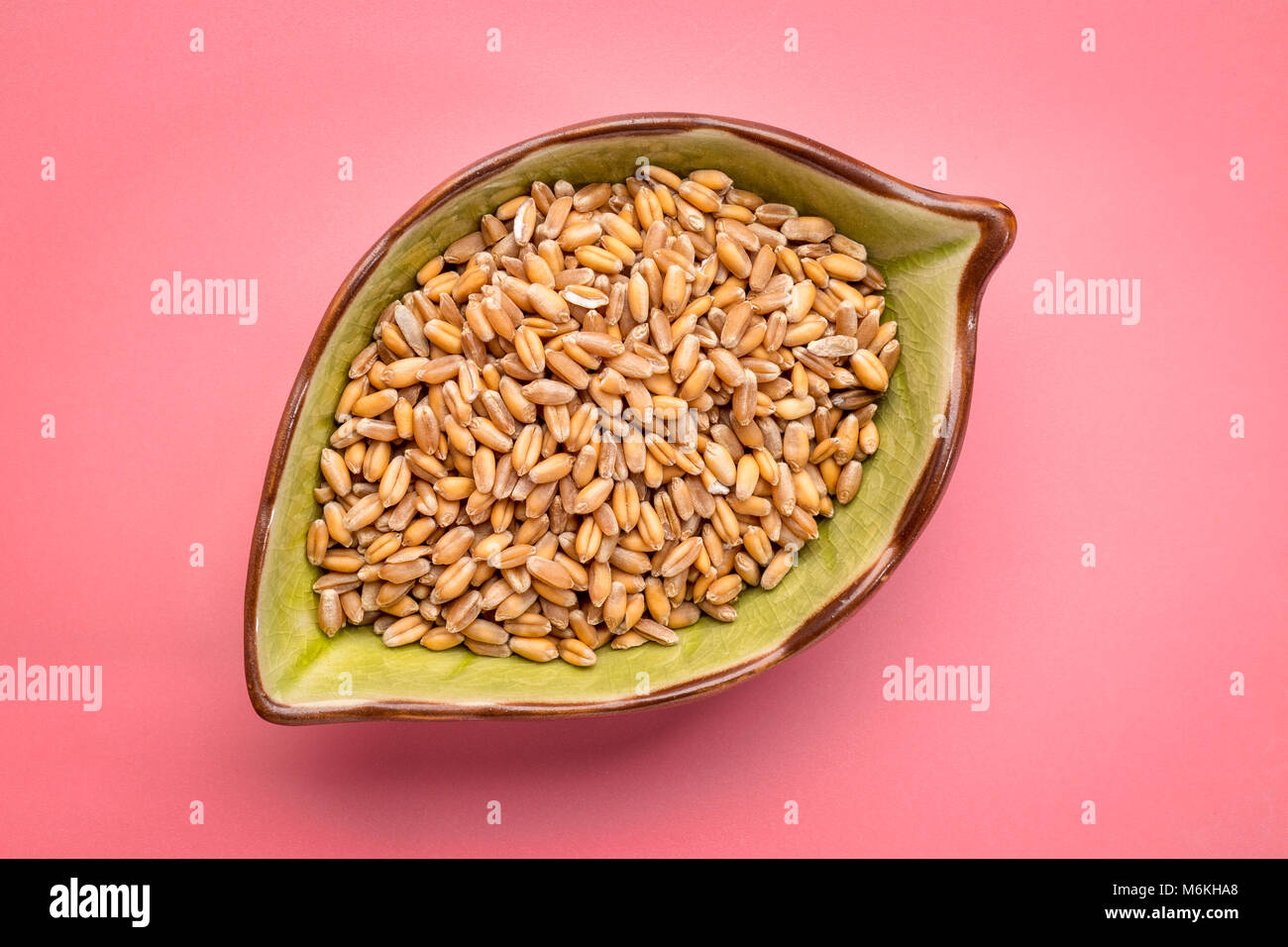 Harter roter Winterweizen in einem keramischen Blatt geformt Schüssel gegen rosa Hintergrund Stockfoto