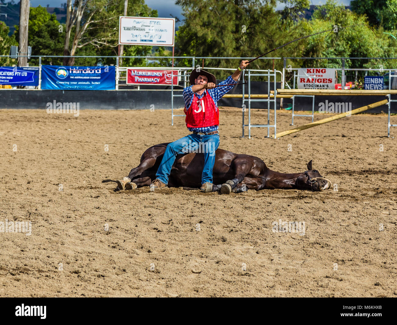 Der Mensch seine Peitsche knacken, während sein Pferd bewegungslos liegt. In der König der Bereiche Bareback Freestyle Wettbewerb in Murrurundi, NSW, Australien, 2018 Stockfoto