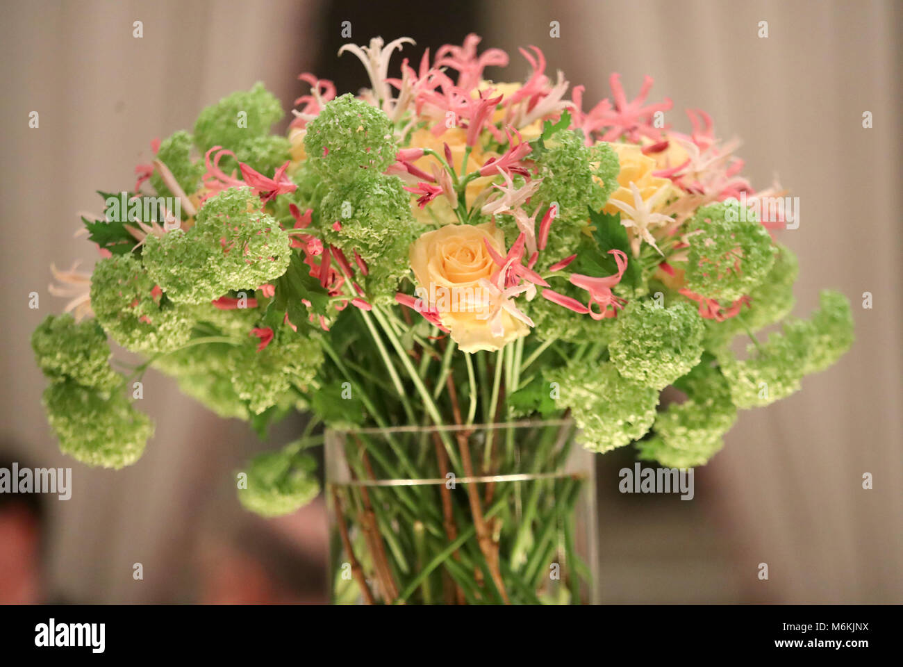 Der Herzog und die Herzogin von Cambridge besuchen Sie ein Abendessen im Königlichen Palast in Oslo. Prinz William und König Harald machten beide Reden an der Veranstaltung. Mit: Atmosphäre, wo: Oslo, Großbritannien Wann: 01. Februar 2018 Credit: John rainford/WENN.com Stockfoto