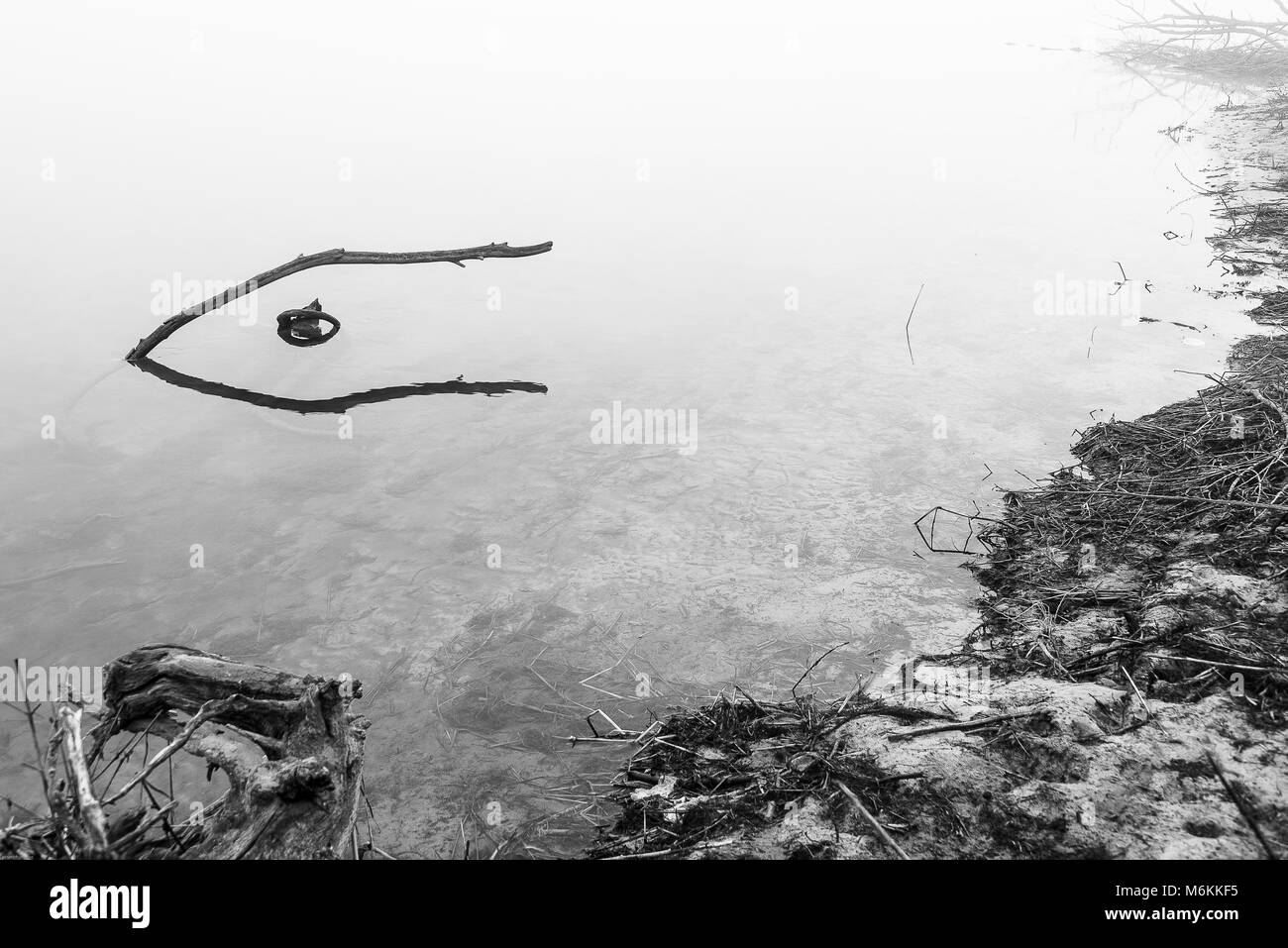 Winter Tessin riverbanks Landschaften Stockfoto