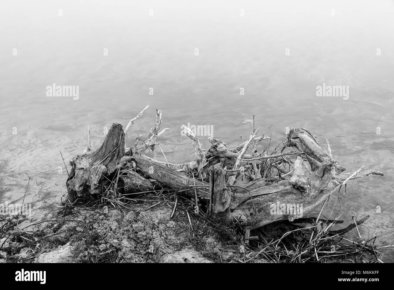 Winter Tessin riverbanks Landschaften Stockfoto