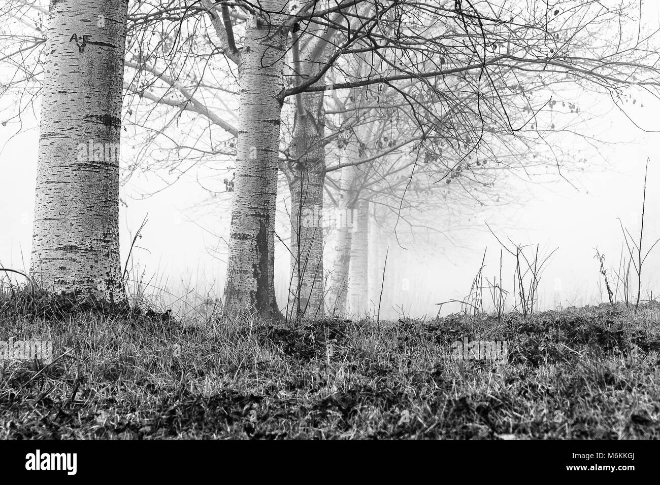 Winter Tessin riverbanks Landschaften Stockfoto