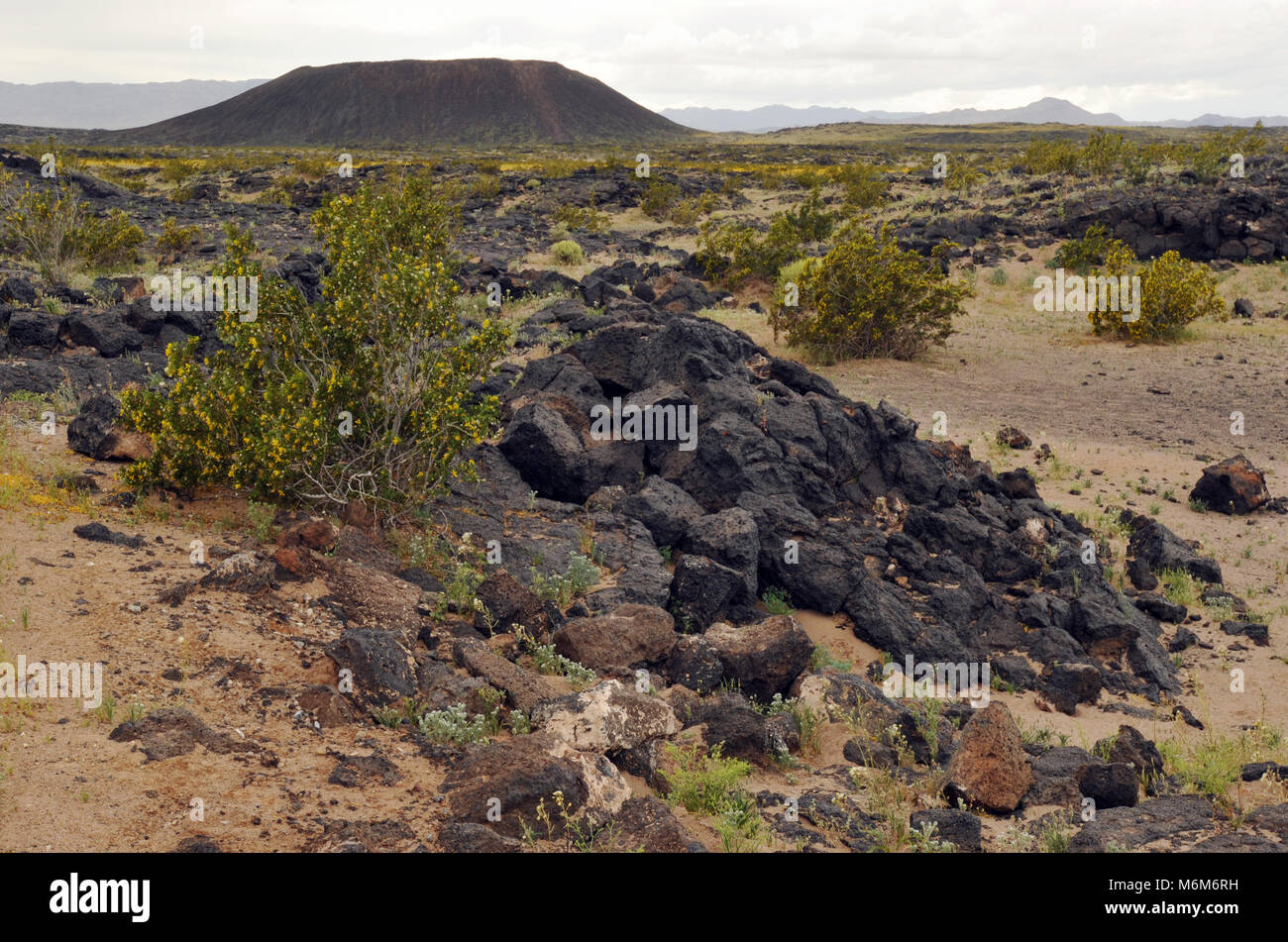 Eine alte Lavafeld erstreckt sich über die Mojave Wüste aus der Amboy Krater in der Nähe der Stadt Amboy, CA. Der Krater ist ein erloschener Schlackenkegel Vulkan. Stockfoto