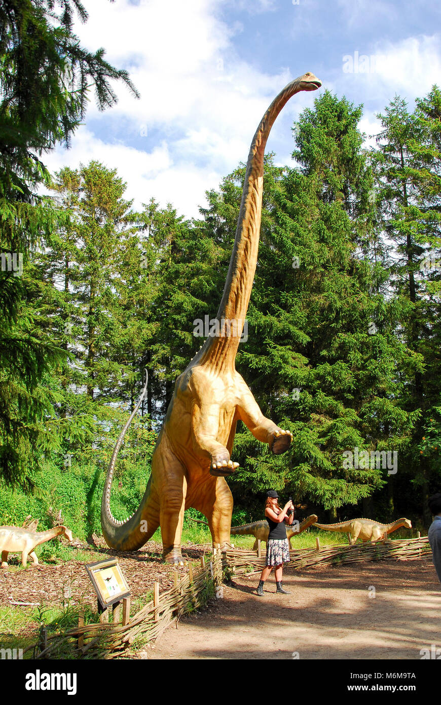 Givskud Zoo Stockfotos Und bilder Kaufen Seite 2 Alamy givskud-zoo-stockfotos-und-bilder-kaufen-seite-2-alamy