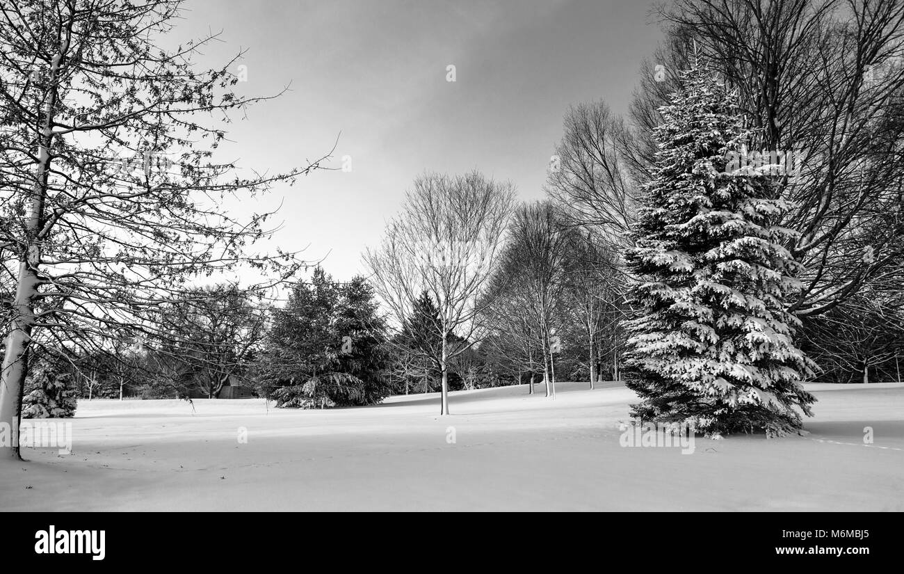 Pinafore Park in St. Thomas, Ontario, Kanada ist in einer frischen Schneedecke wie Mutter Natur einen späten Winter Schneefall in die Region geliefert. Stockfoto