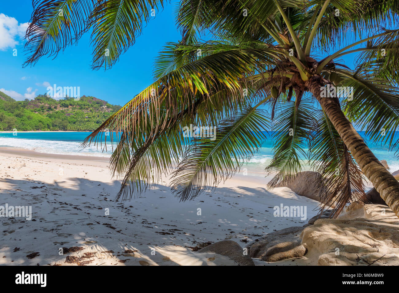 Tropischer Strand Stockfoto