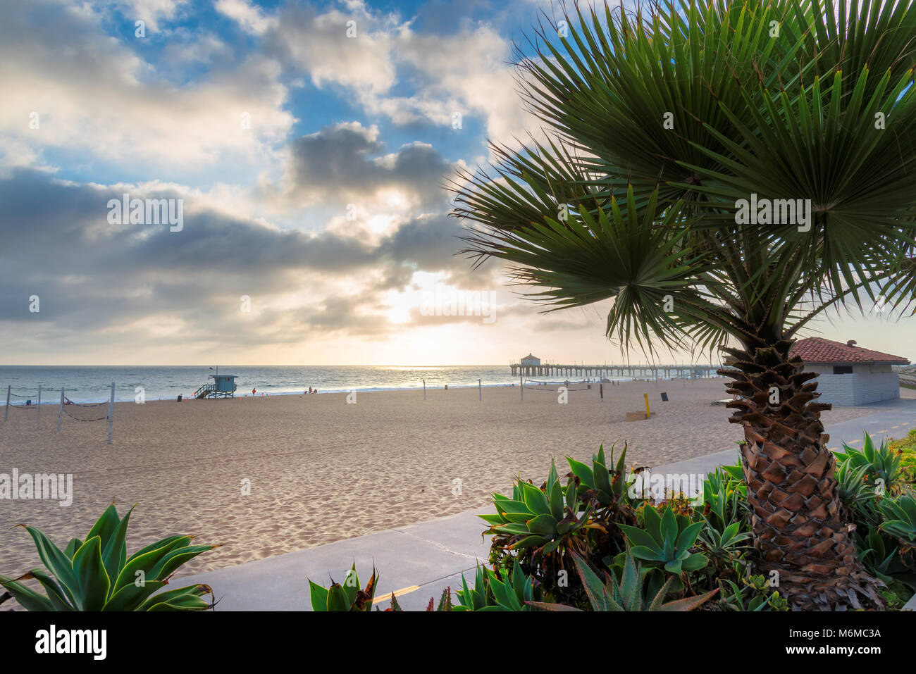 Palmen auf Manhattan Beach und Pier bei Sonnenuntergang, Los Angeles, Kalifornien. Stockfoto