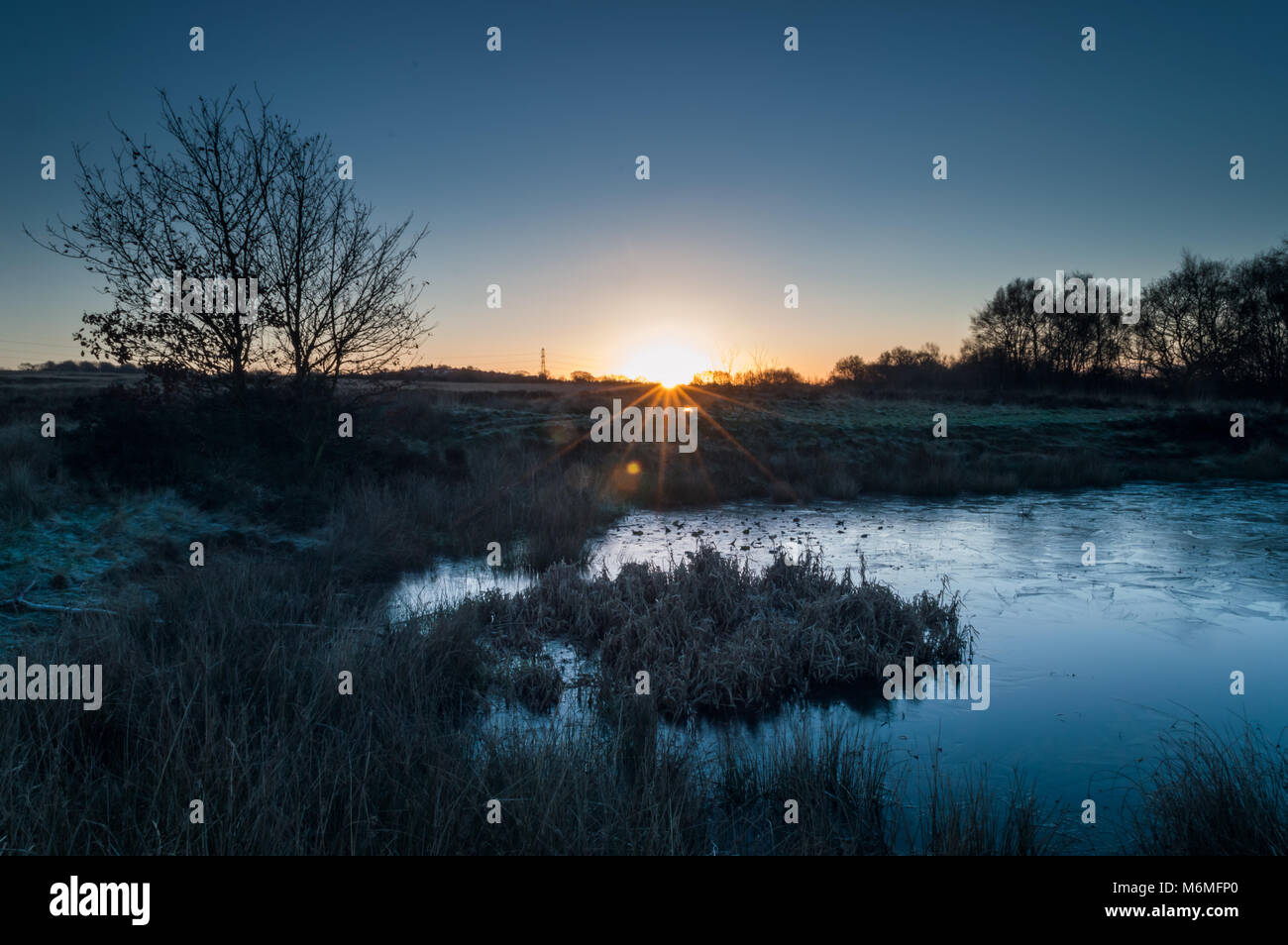 Ein starburst von Dawn Licht bricht auf einem zugefrorenen Teich auf Wetley Moor Staffordshire. Stockfoto