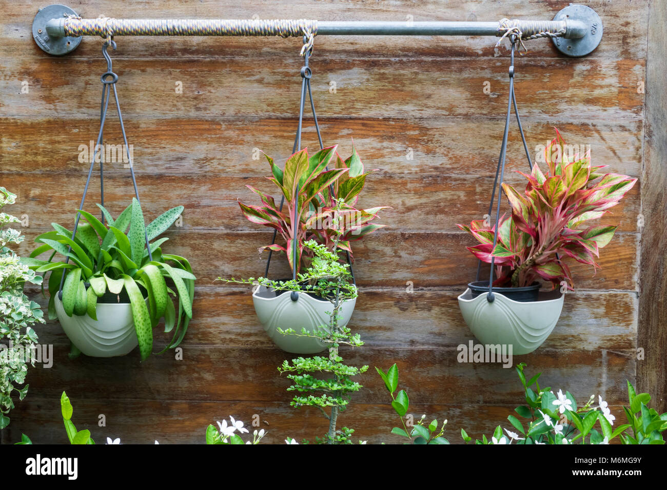 Home Blumen und Kräuter im hängenden Töpfe in einem Garten in einem mit der Freigabe Apartments und Home populär in Thailand Stockfoto