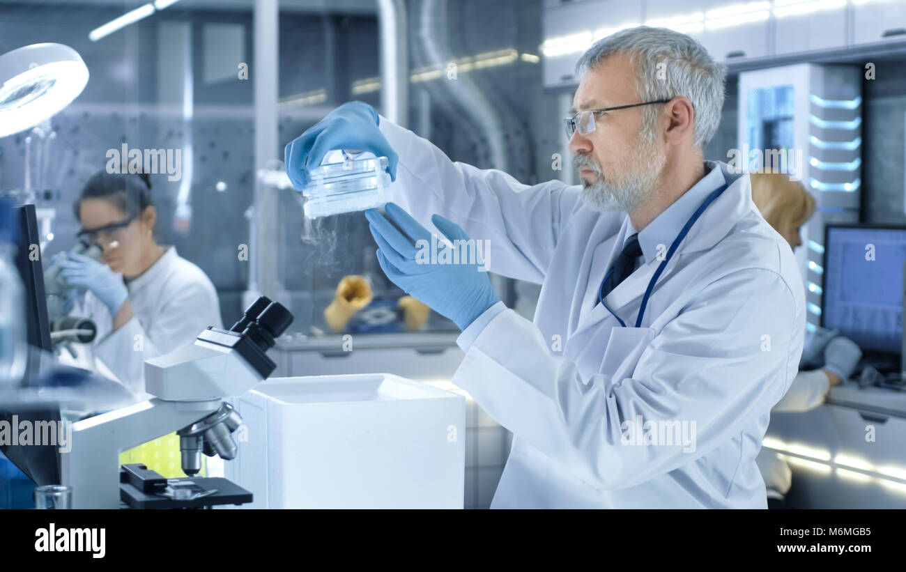 Senior Medical Research Scientist öffnet sich Kühlschrank, Rauch aus. Er arbeitet in einem modernen Labor. Stockfoto