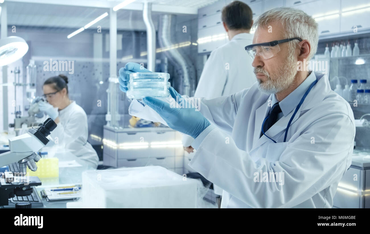 Senior Medical Research Scientist Nimmt Petrischale mit Proben aus geöffneten Kühlschrank. Er arbeitet in einem modernen Labor. Stockfoto