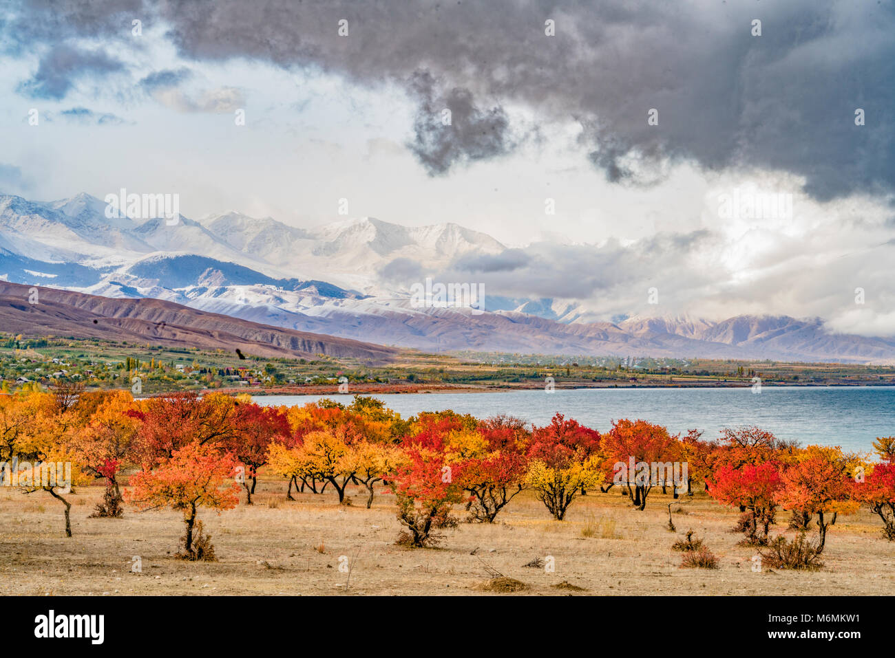 Tien Shan Gebirge und Herbst Farbe, Kirgisistan Zentralasien Stockfoto