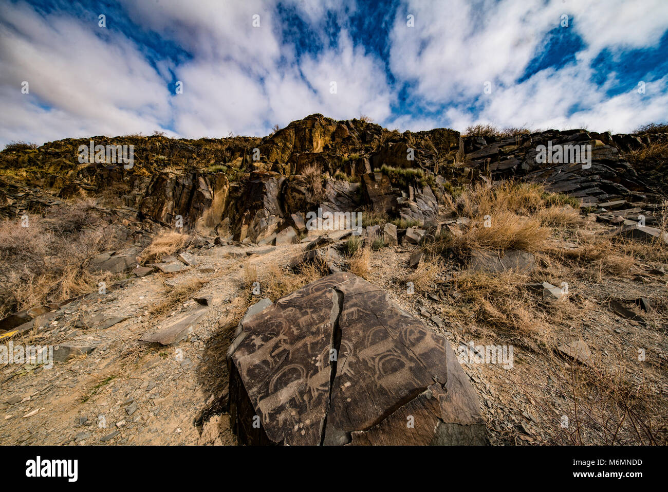 Petroglyphen von Tambaly Achaeological Landschaft, Kasachstan, Tambaly Schlucht, Chu-Lii Berge Bronzezeit rock Kunst, UNESCO Weltkulturerbe Stockfoto