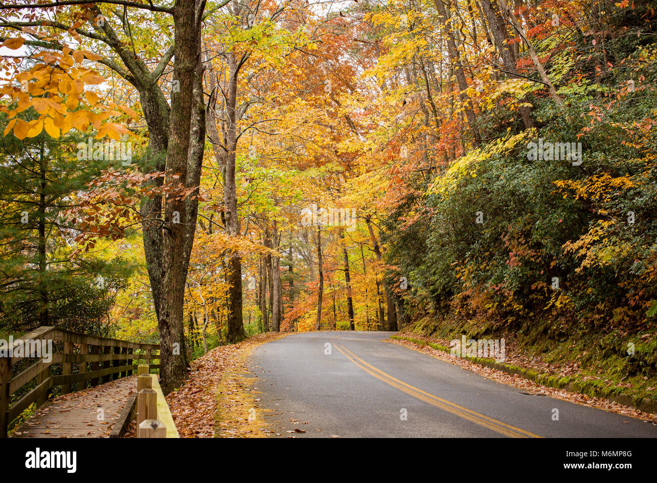 Vogel State Park, Blairsville, Georgia Stockfoto