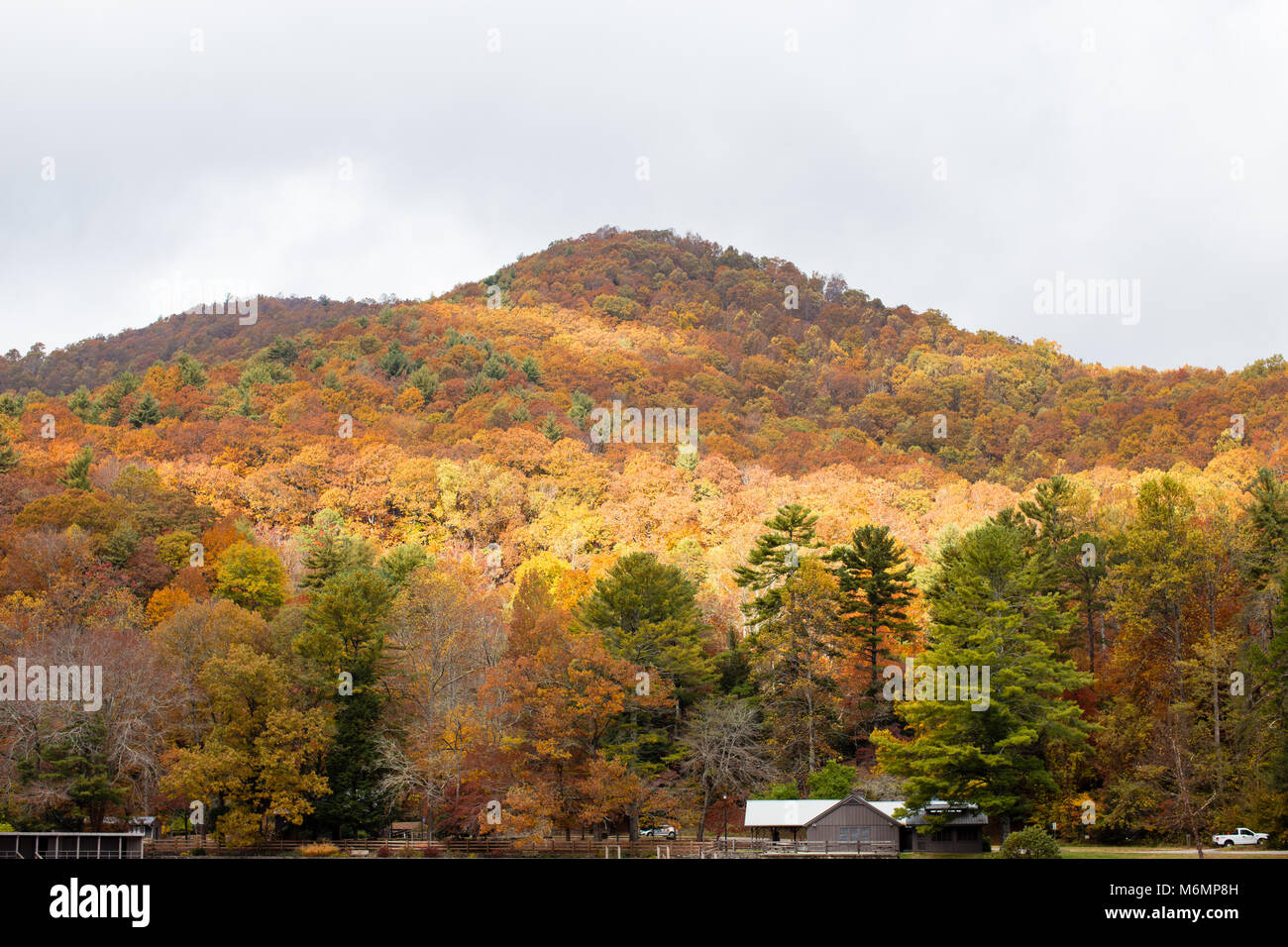 Vogel State Park, Blairsville, Georgia Stockfoto