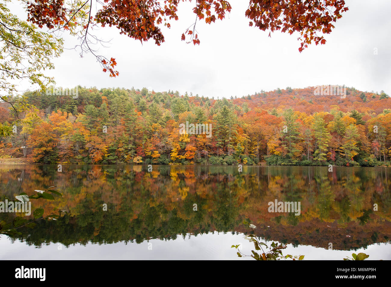Vogel State Park, Blairsville, Georgia Stockfoto