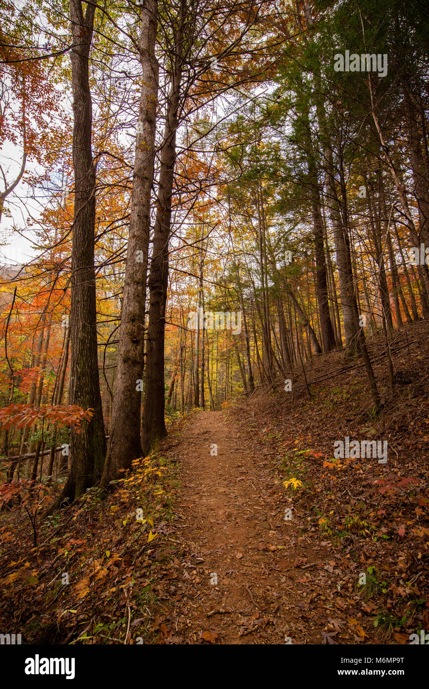 Vogel State Park, Blairsville, Georgia Stockfoto