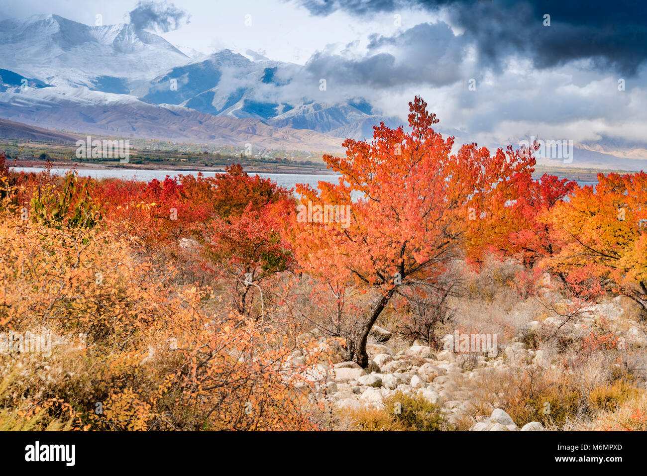 Tien Shan Gebirge und fall Farbe, Kyrgyzystan Zentralasien Stockfoto