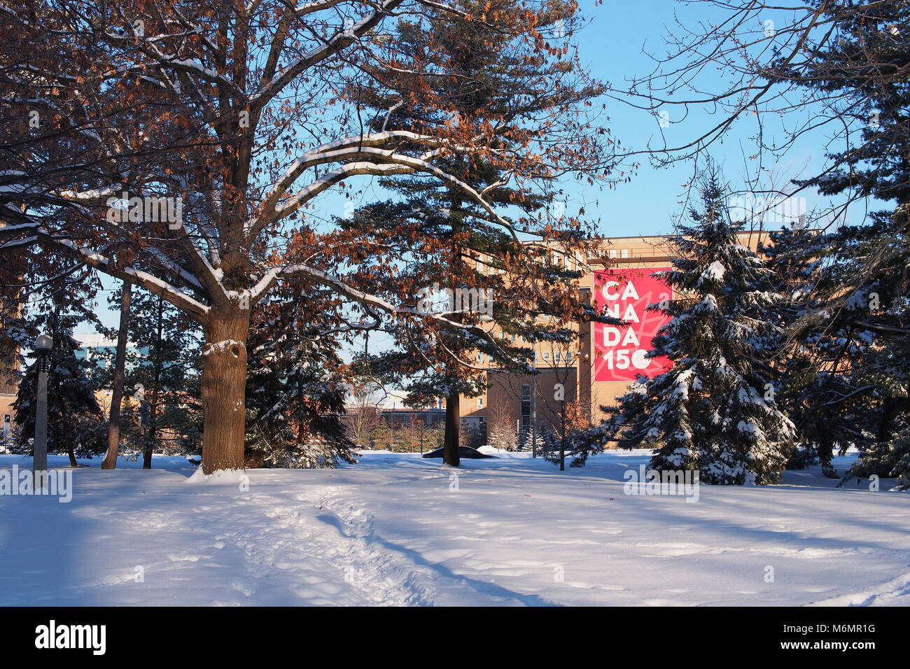 Giant" Kanada 150" Banner auf der Seite des Geologischen Übersicht bulding, Earth Sciences, Natural Resources Canada, Stand Street, Ottawa, Stockfoto