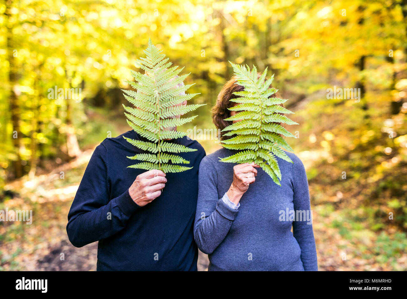 Senior Paar auf einem Spaziergang im Herbst Wald. Stockfoto