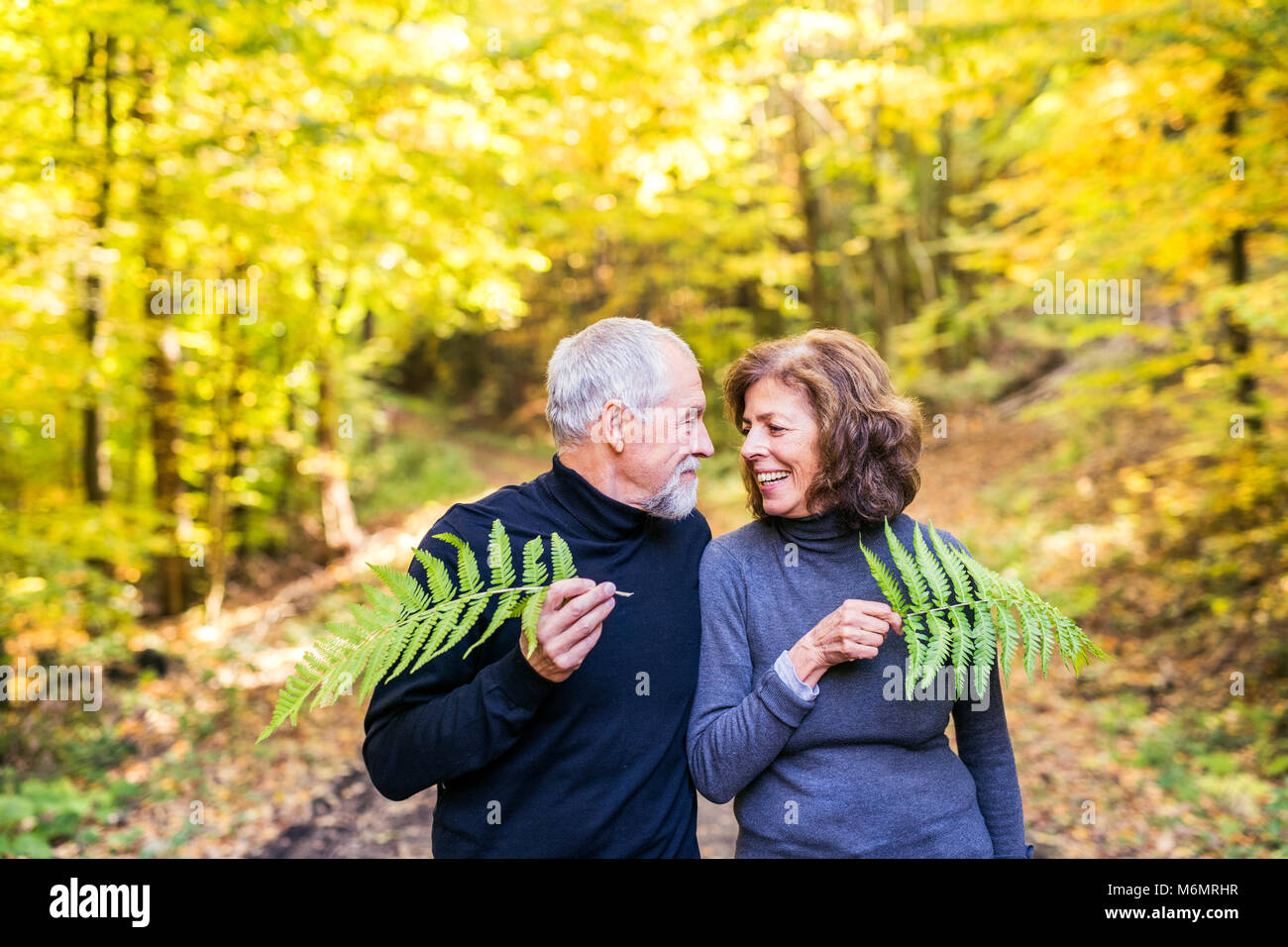 Senior Paar auf einem Spaziergang im Herbst Wald. Stockfoto