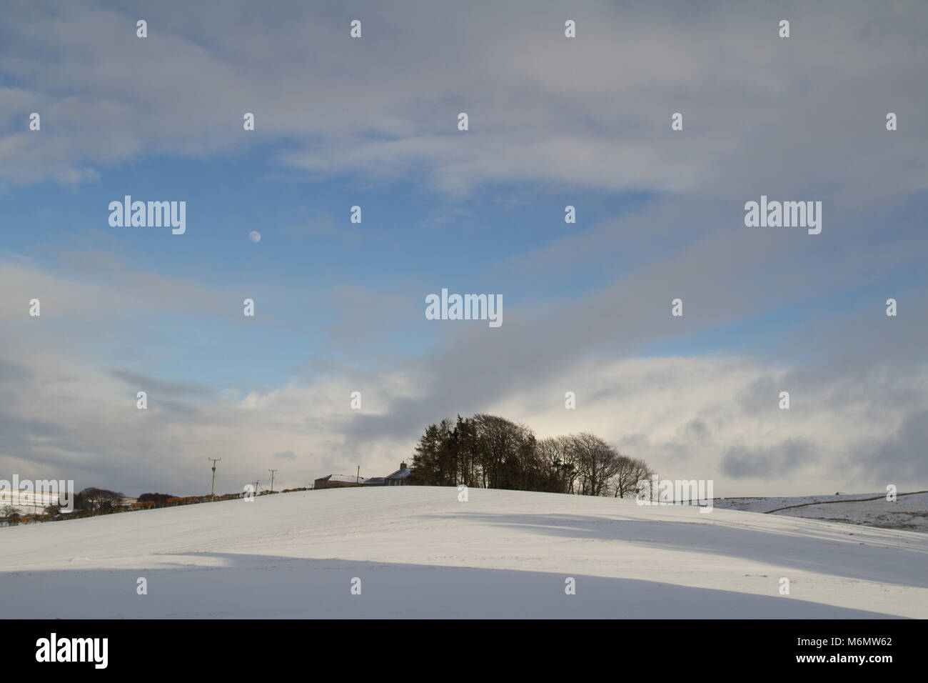 Coanwood, Northumberland, Großbritannien. 27. Februar 2018 einen Bitterkalten Tag in Northumberland, Großbritannien wird durch kaltes Wetter getroffen. Credit: H Athey/Alamy Live N Stockfoto