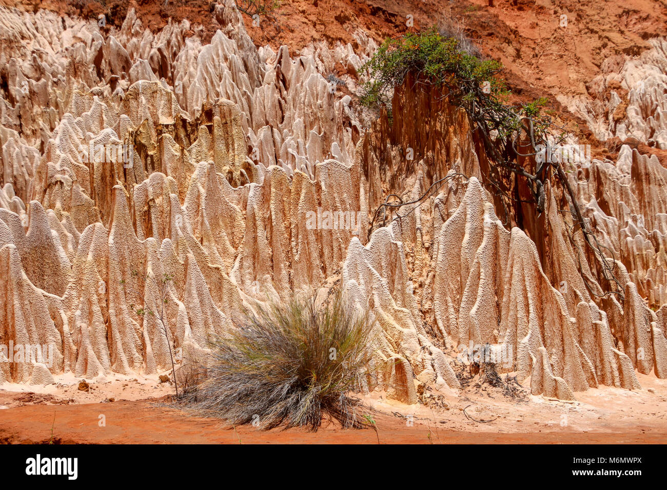 Madagaskar, Ankarana spezielle Reserve. Roten Tsingy - Sandstein Erosion durch Abholzung Stockfoto
