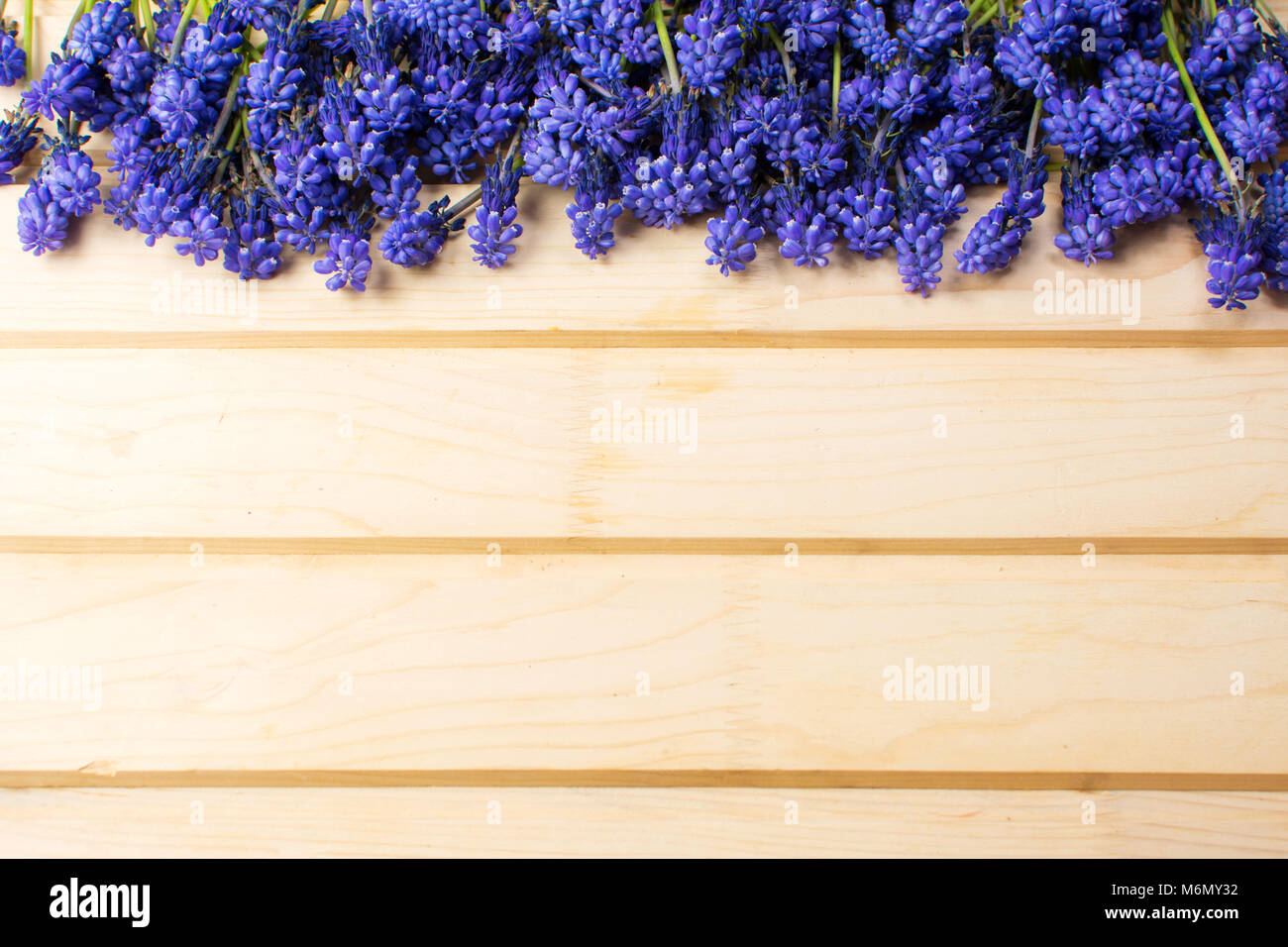 Hyazinthenblumen auf einem Holzbrett mit Exemplar Stockfoto
