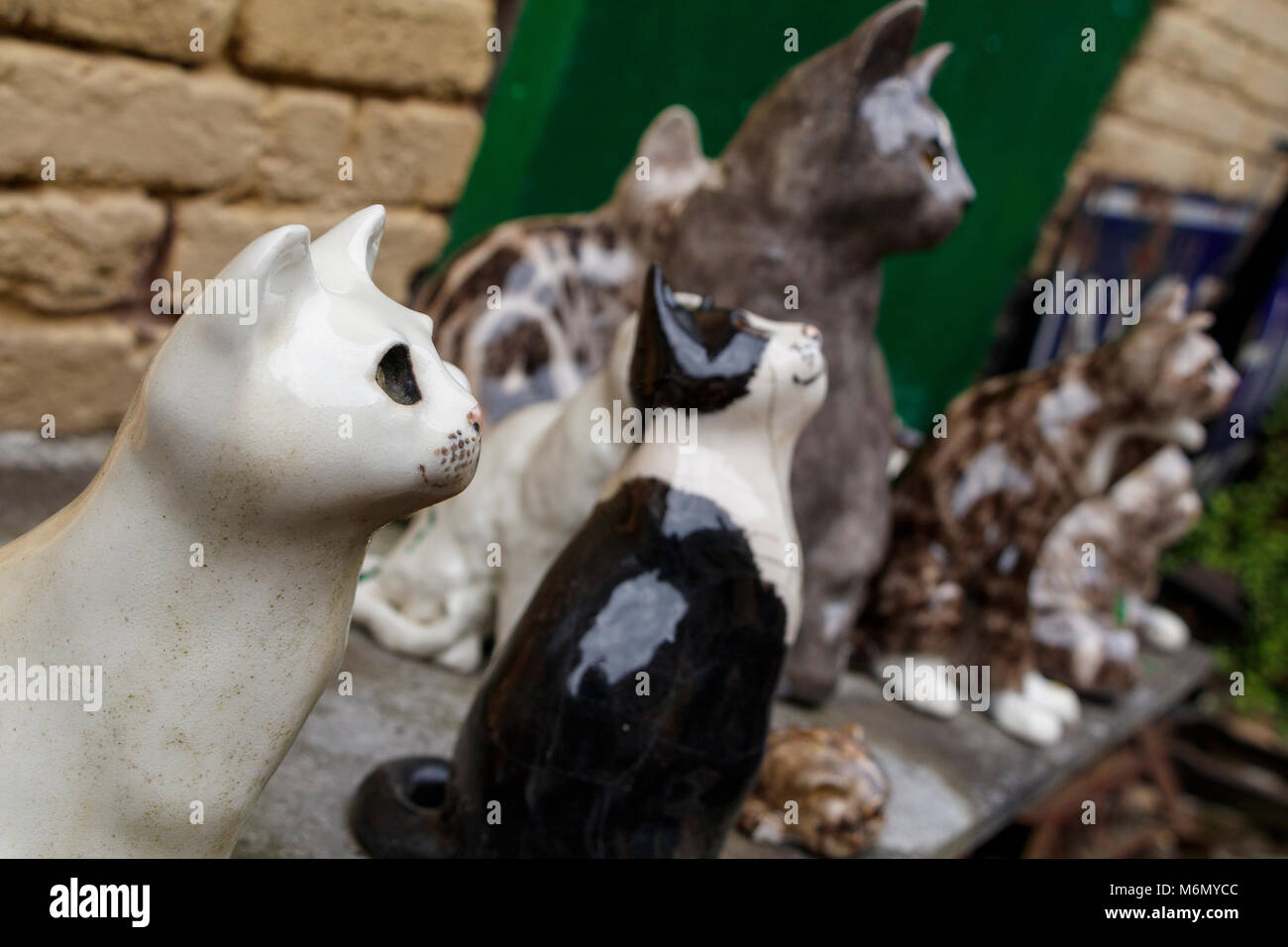 Eine Sammlung von winstanley Keramik Katzen im Freien angeordnet. North Walsham, Norfolk, Großbritannien. Stockfoto