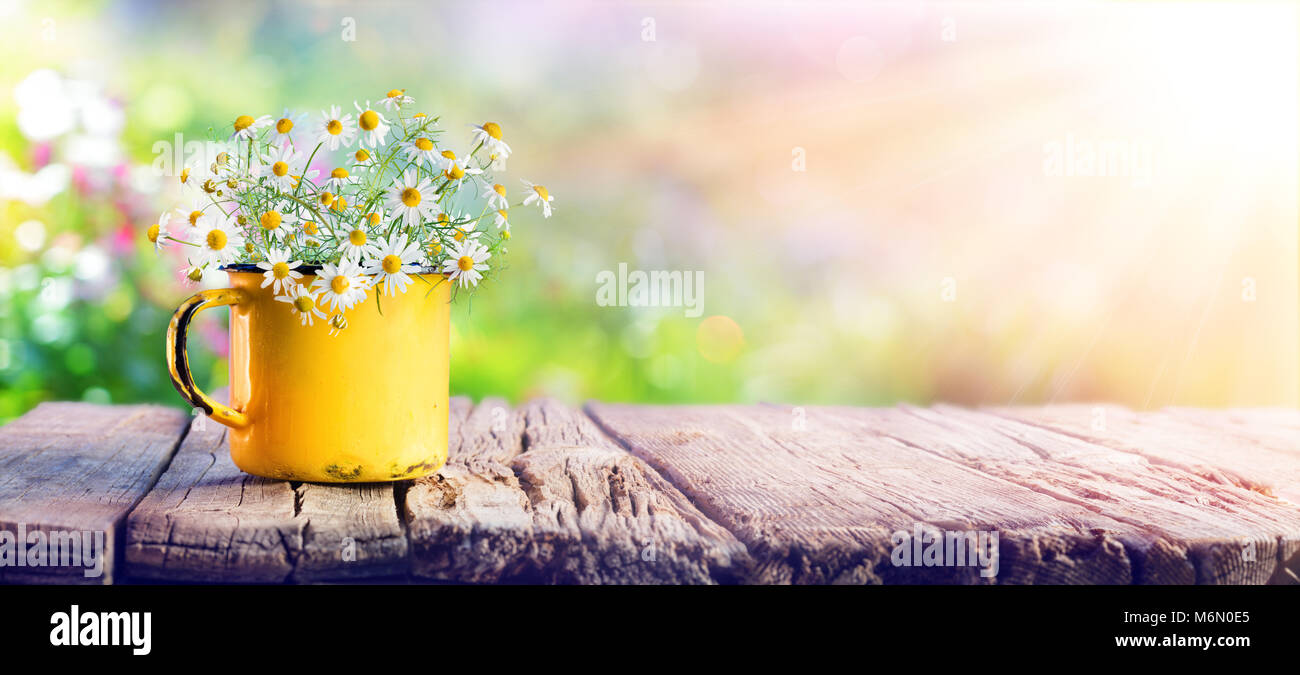 Frühling - Kamillenblüten In Teetasse auf hölzernen Tisch im Garten Stockfoto