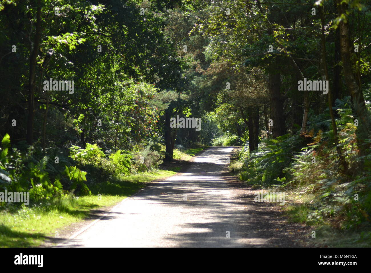 Geheimnisvolle Gehweg Stockfoto