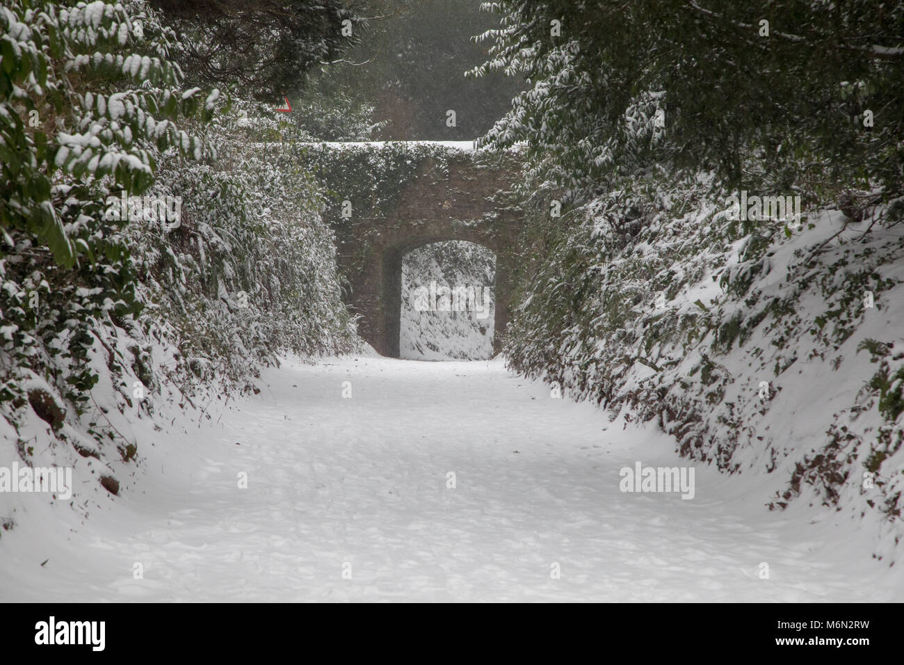 Eine ungewöhnliche auftreten - in der Dorf Cockington in South Devon, Großbritannien mit einem bedeutenden Schneedecke vom Sturm Emma 2018 Stockfoto