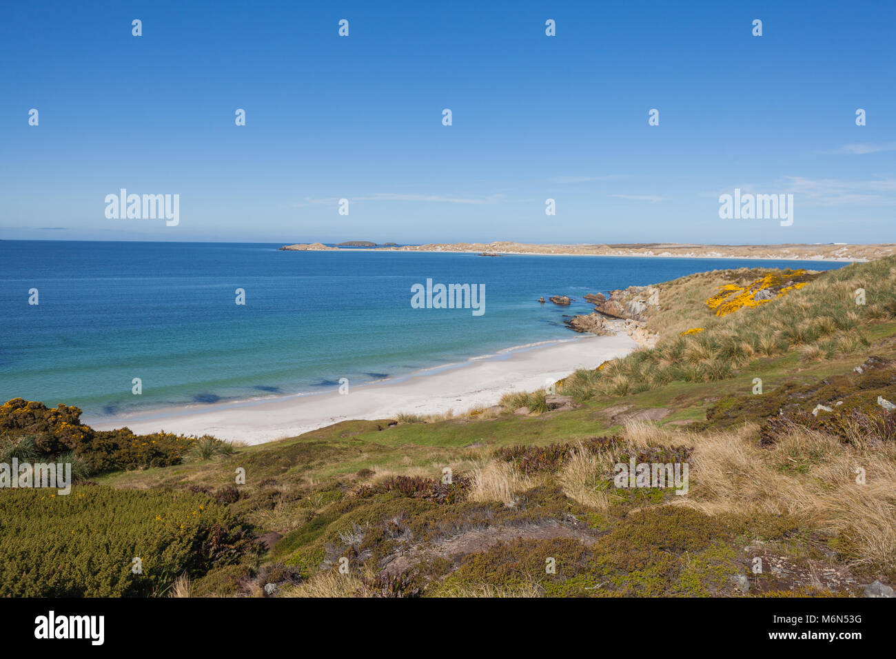 Strand in der Nähe von Kap Pembroke, Falkland Inseln Stockfoto