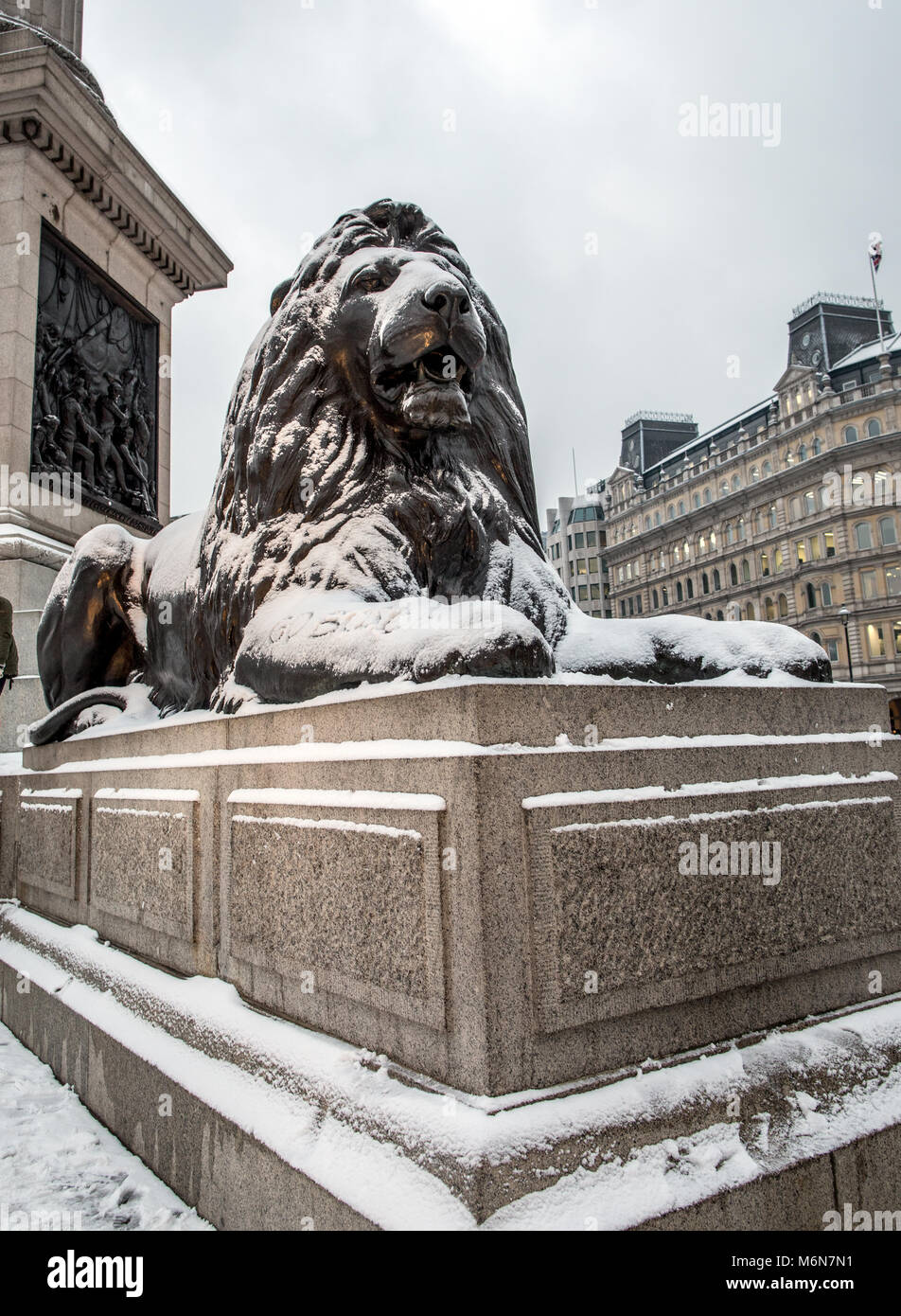 Schnee auf einem Löwen in Trafalgar Square Londonj UK Stockfoto