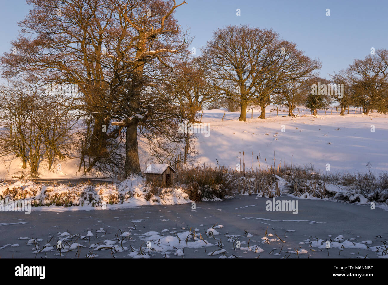 Gefrorenen Teich neben schneebedeckten Feld in der englischen Landschaft. Stockfoto