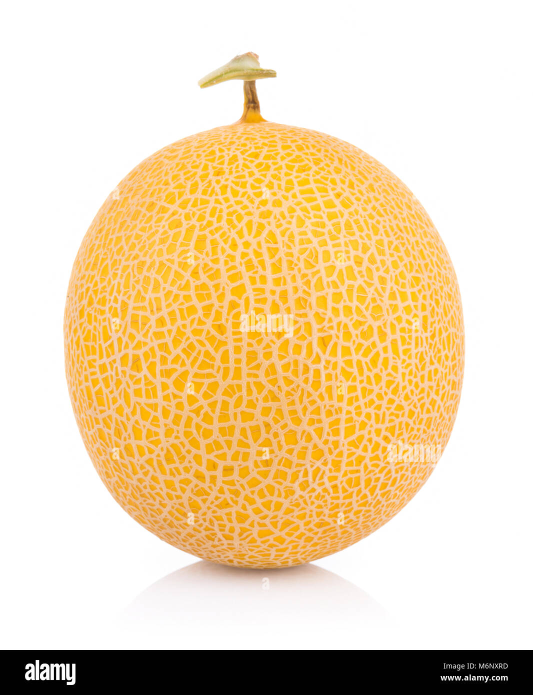 Cantaloupe-Melone, die isoliert auf weißem Hintergrund Stockfoto